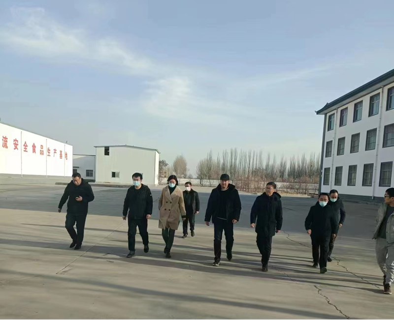 石嘴山市副市長(zhǎng)、惠農(nóng)區(qū)委書(shū)記王宇翔蒞臨寧夏興康恒潤(rùn)農(nóng)業(yè)科技發(fā)展有限公司調(diào)研