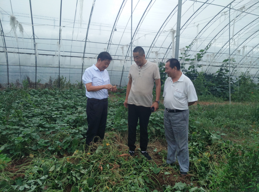 岳氏集團(tuán)董事長(zhǎng)岳平安赴博浩高效農(nóng)業(yè)示范基地